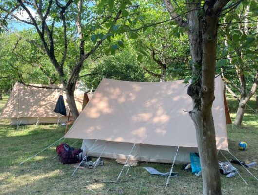 Des Radis et des Hommes - les-tentes-3