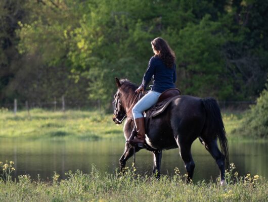 Centre équestre – Maison Guiseau - office-2