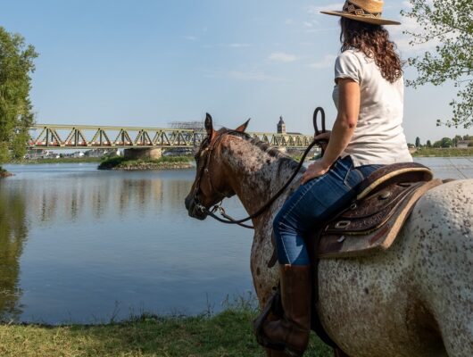 Centre équestre – Maison Guiseau - office-tou1-2-2