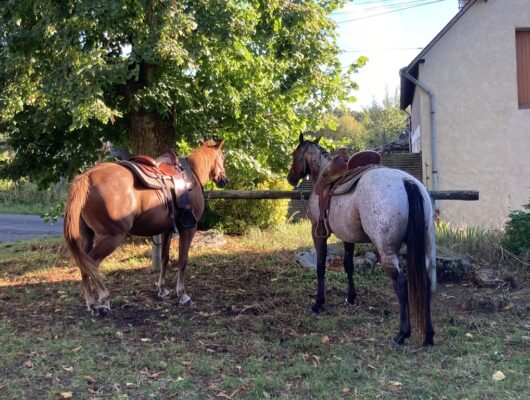 Centre équestre – Maison Guiseau - office4