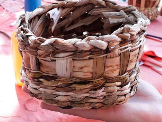 Ateliers mensuels de vannerie buissonnière - panier-massette