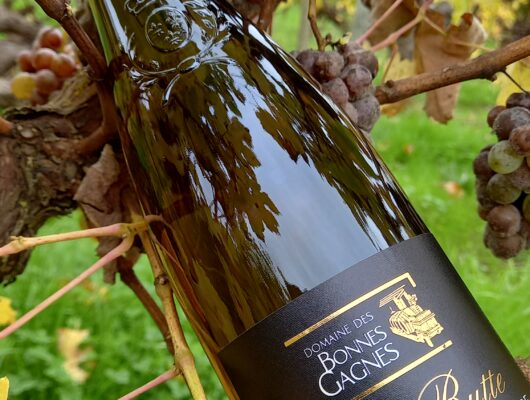 DOMAINE DES BONNES GAGNES - 20241026-143029