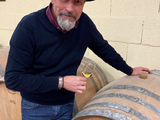 DOMAINE DIDIER DELAUNAY - domaine-didier-delaunay-mozesurlouet-49-1