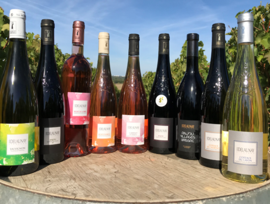 DOMAINE DIDIER DELAUNAY - domaine-didier-delaunay-mozesurlouet-49