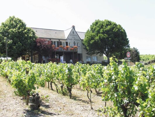 DOMAINE DE LA ROCHE MOREAU - credit-photo-domaine-de-la-roche-moreau-st-aubin