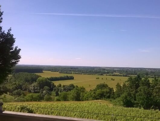 DOMAINE DE LA ROCHE MOREAU - credit-photo-domaine-de-la-roche-moreau-vins-loire