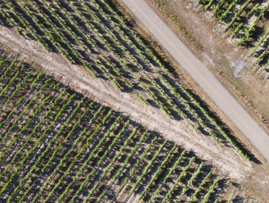 DOMAINE DU MATIN CALME - dji-0653