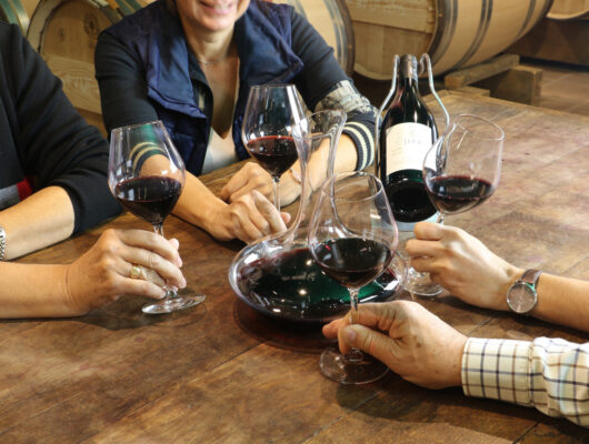 DOMAINE SAUVEROY - domainesauveroy-cave-valdulayon-49-1