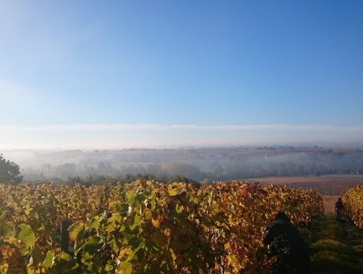 DOMAINE DE L&rsquo;ANGELIÈRE - dsc-0126-2