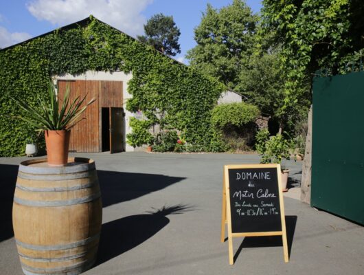DOMAINE DU MATIN CALME - img-8272