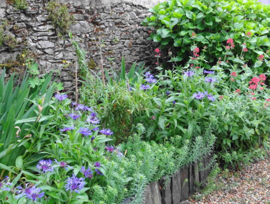 GITE LA GOGANE - jardinet---gite-la-gogane