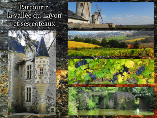 GITE LA GOGANE - la-vallee-du-layon-et-ses-coteaux-a-proximite-du-gite-la-gogane