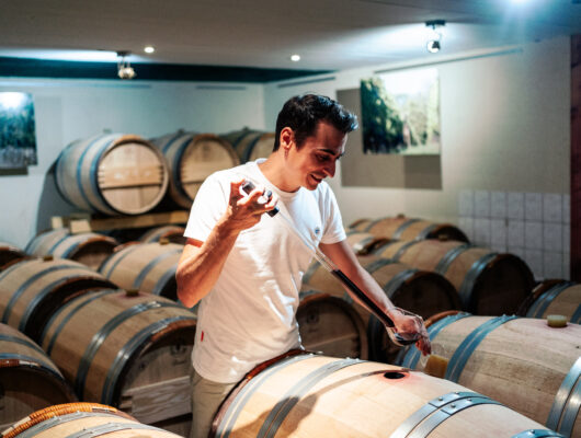 DOMAINE SAUVEROY - lma06111