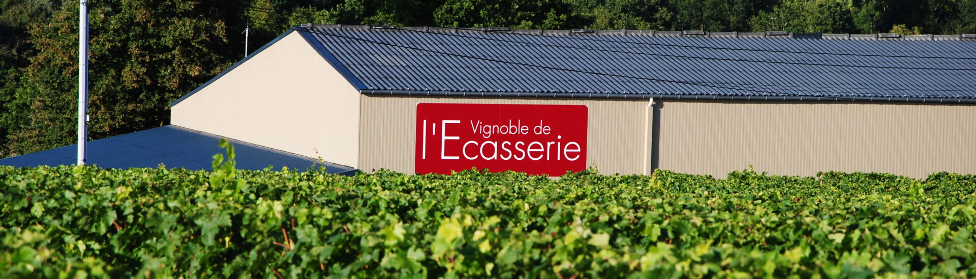 VIGNOBLE DE L’ÉCASSERIE