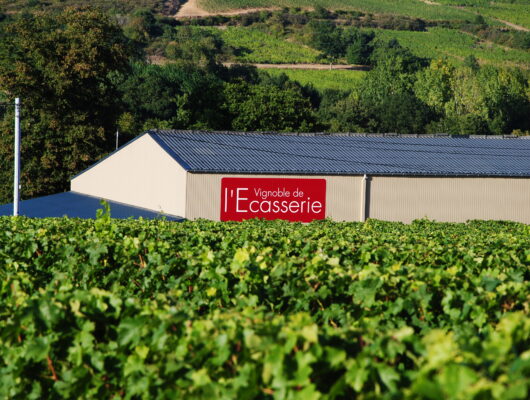 VIGNOBLE DE L’ÉCASSERIE - vignoble-de-l-ecasserie-bellevigne-en-layon-49-vignobleecasserie