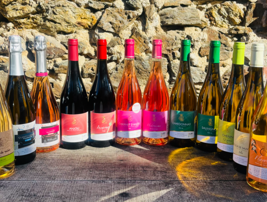 DOMAINE DE MONTPLAISIR - vins