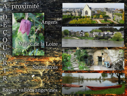 GITE LA GOGANE - visiter-l-anjou-depuis-le-gite-la-gogane