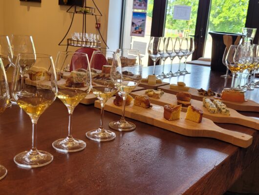 DOMAINE DES PETITS QUARTS - 20250524-105057