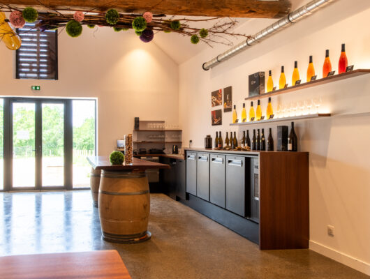 Dégustation de vieux millésimes de Bonnezeaux au Domaine des Petits Quarts - caveau-11