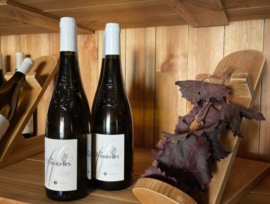 Portes Ouvertes du Vignoble FAMILLE GAZEAU - img-0856