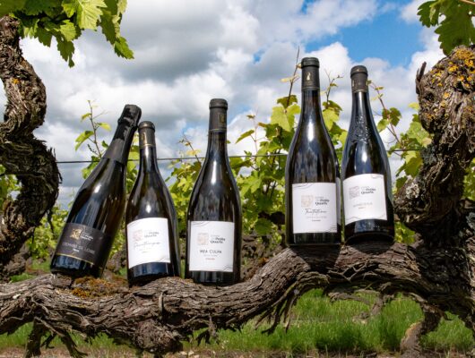 Dégustation en Accords Mets et Vins au Domaine des Petits Quarts - p-q-extmai24-0691