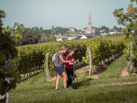 La Boucle gourmande des gîtes de Bonnezeaux - anjou-r-et-nuit-2023--050