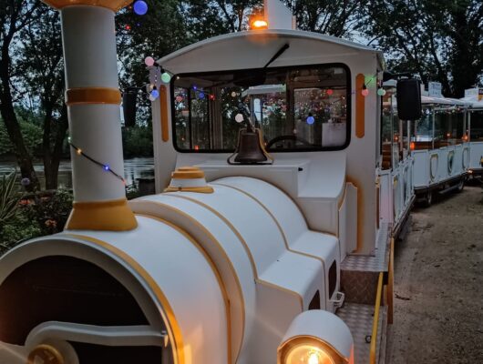 LE P’TIT TRAIN ANNEES 80 - halloween-2-5