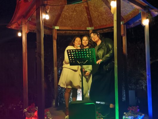 LE PETIT TRAIN KARAOKE - kiosque-karaoke