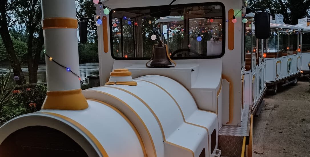 LE P&rsquo;TIT TRAIN CLUEDO GÉANT MEUTRE & LAYON