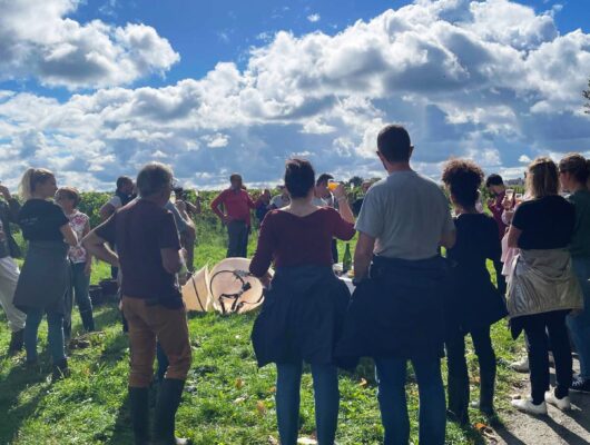 JOURNÉE VENDANGES AU DOMAINE DE TERREBRUNE - 1758873009669--002-
