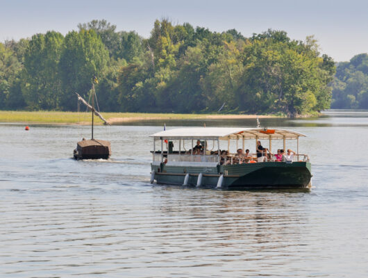 Loire Odyssée : Balades en Loire - 2891856-c4805d0ec40d3a152c23cb497c6a6800