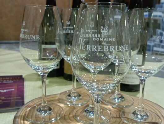AFTER-WORK « Oeno-Mixo » au Domaine de Terrebrune - 489674737-1451506969527363-3491340998744262259-n