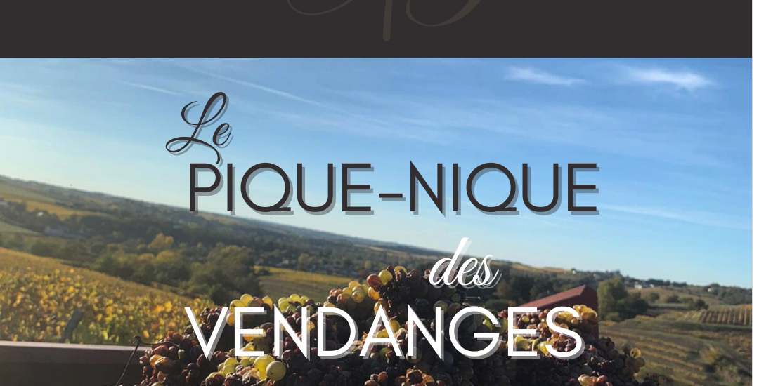 PIQUE NIQUE DES VENDANGES – DOMAINE BLOUIN