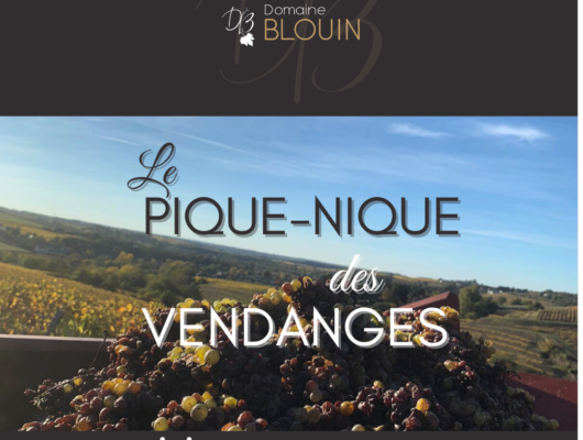 PIQUE NIQUE DES VENDANGES – DOMAINE BLOUIN - pique-nique-des-vendanges---newsletter--1-