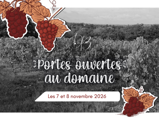 JOURNÉES PORTES OUVERTES – DOMAINE BLOUIN - portes-ouvertes-flyer--600-x-400-px---1-