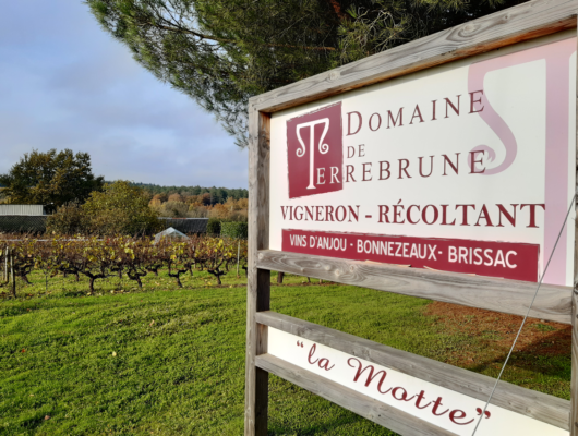 AFTER-WORK « Oeno-Mixo » au Domaine de Terrebrune - terrebrune-674d2942df9c469a8ea373a04da111fc