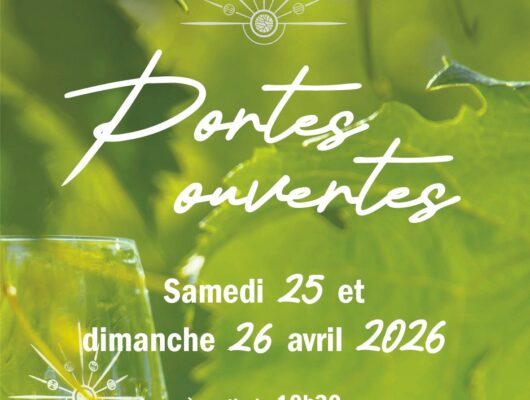 Echappée matinale dans les vignes - 656927949-917443824376369-6817595828705859352-n