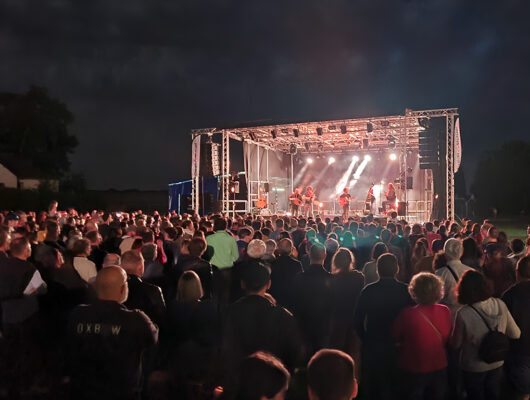 FESTIVAL VINS SUR VINGT - festival-8