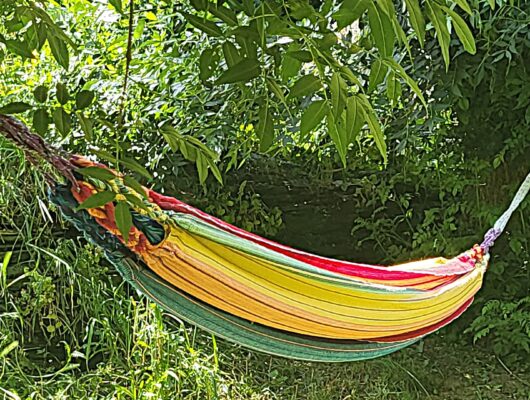 LA DOUCE HEURE ANGEVINE - hamac-jardin