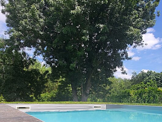 LA DOUCE HEURE ANGEVINE - piscine-fresne-4