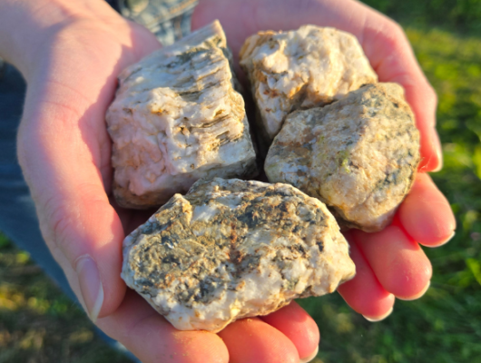 Echappée matinale dans les vignes - sans-titre--15-x-15-cm---5-x-5-cm---1-