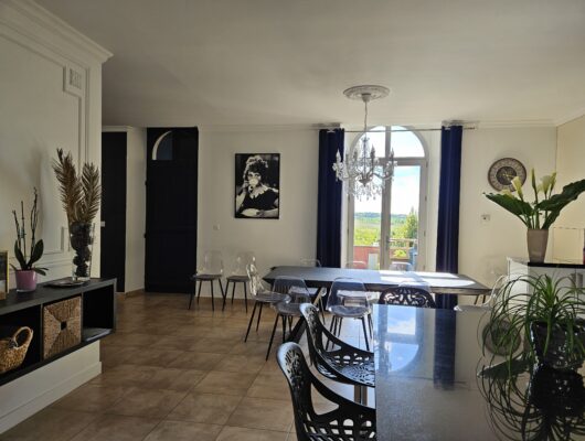 Gîte de charme Confidences-Escale - sejour--vue-vignoble-3