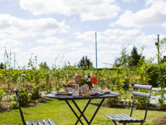 DOMAINE DE LA SOUCHERIE – GÎTE LA MAISON DES VIGNES - terrasseprivee