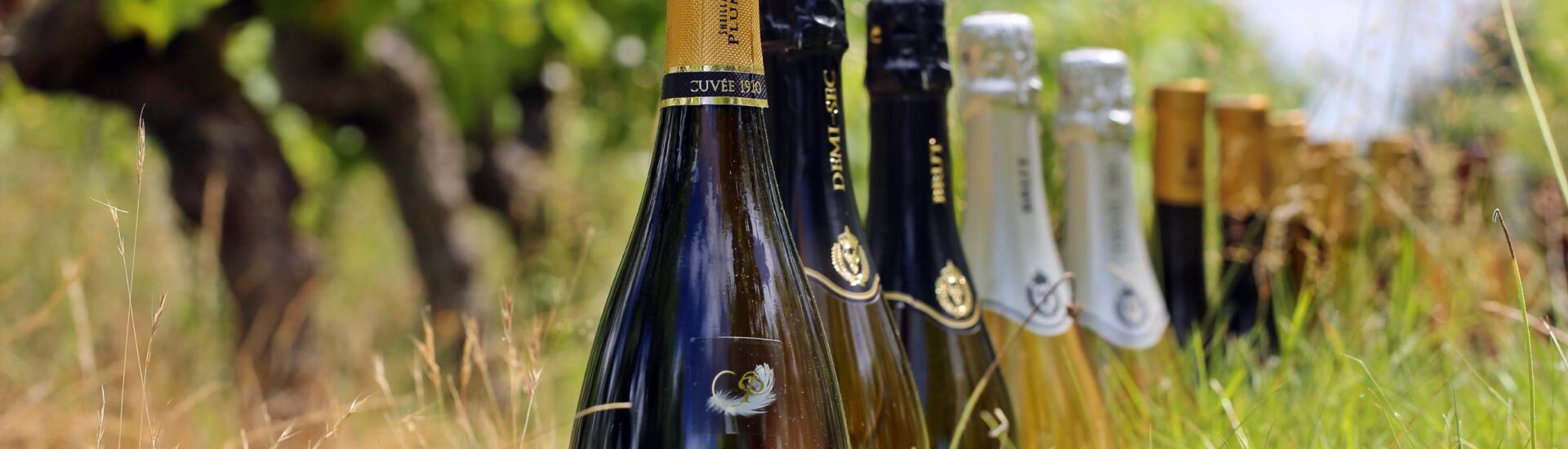 Domaine de la Gonorderie