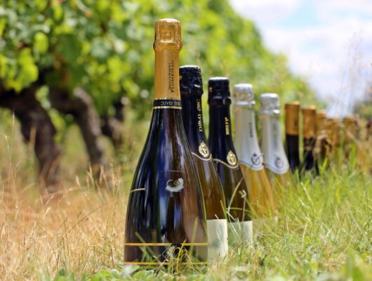Domaine de la Gonorderie - 2016-08-05-gonorderie-m-0003