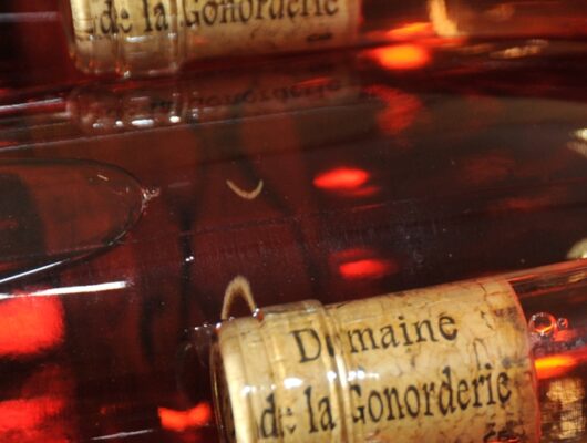Domaine de la Gonorderie - domainedelagonorderie-brissacquince-49-1-1120392