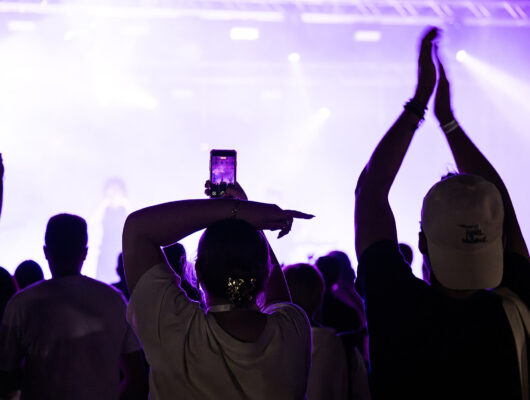 Vignesn&rsquo;Chill Festival - dsc-1762-1-