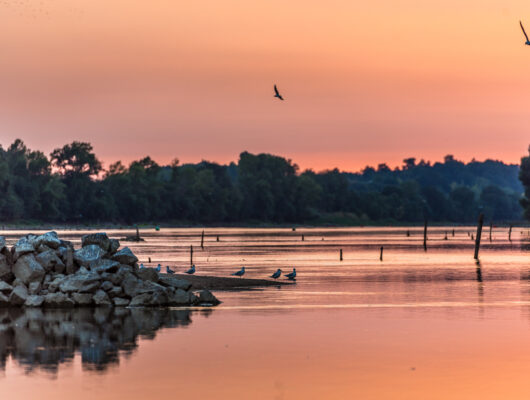 Apéro Loire au soleil couchant - ile-de-chalonnes-chalonnes-web-photo-sebastien-gaudard--2-