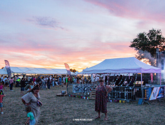 Vignesn&rsquo;Chill Festival - photo-109