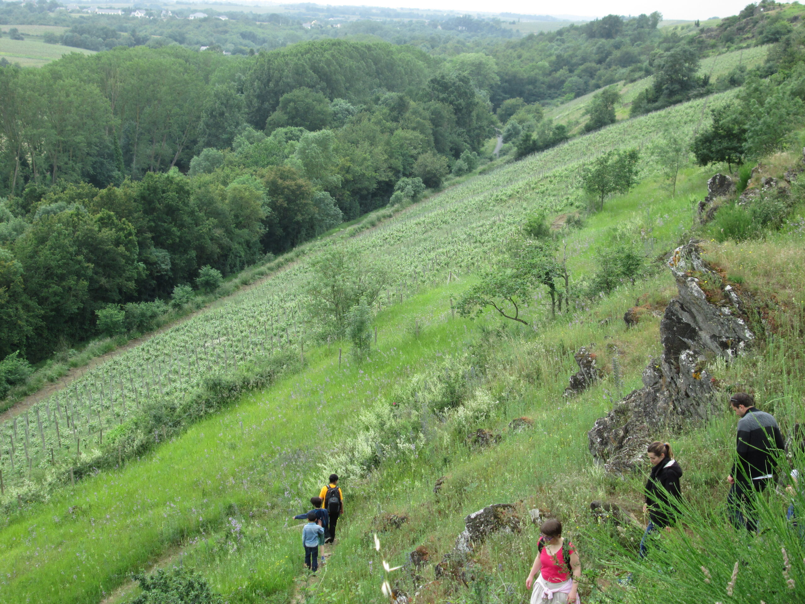 Vignobles en Scène – Oenorando » voyage au pays d&rsquo;un passeur de terroirs «